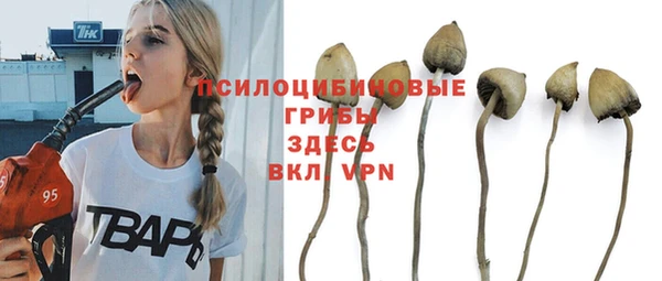 кристаллы Белокуриха